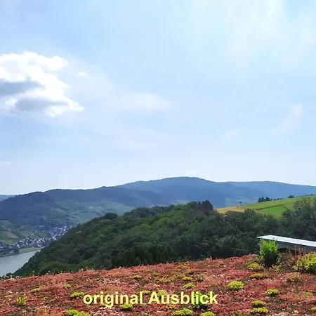 Schau-Rhein#2 - On Top Of Bacharach, Rhineview Eksteriør billede