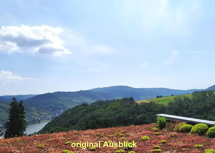 Schau-Rhein#2 - On Top Of Bacharach, Rhineview
